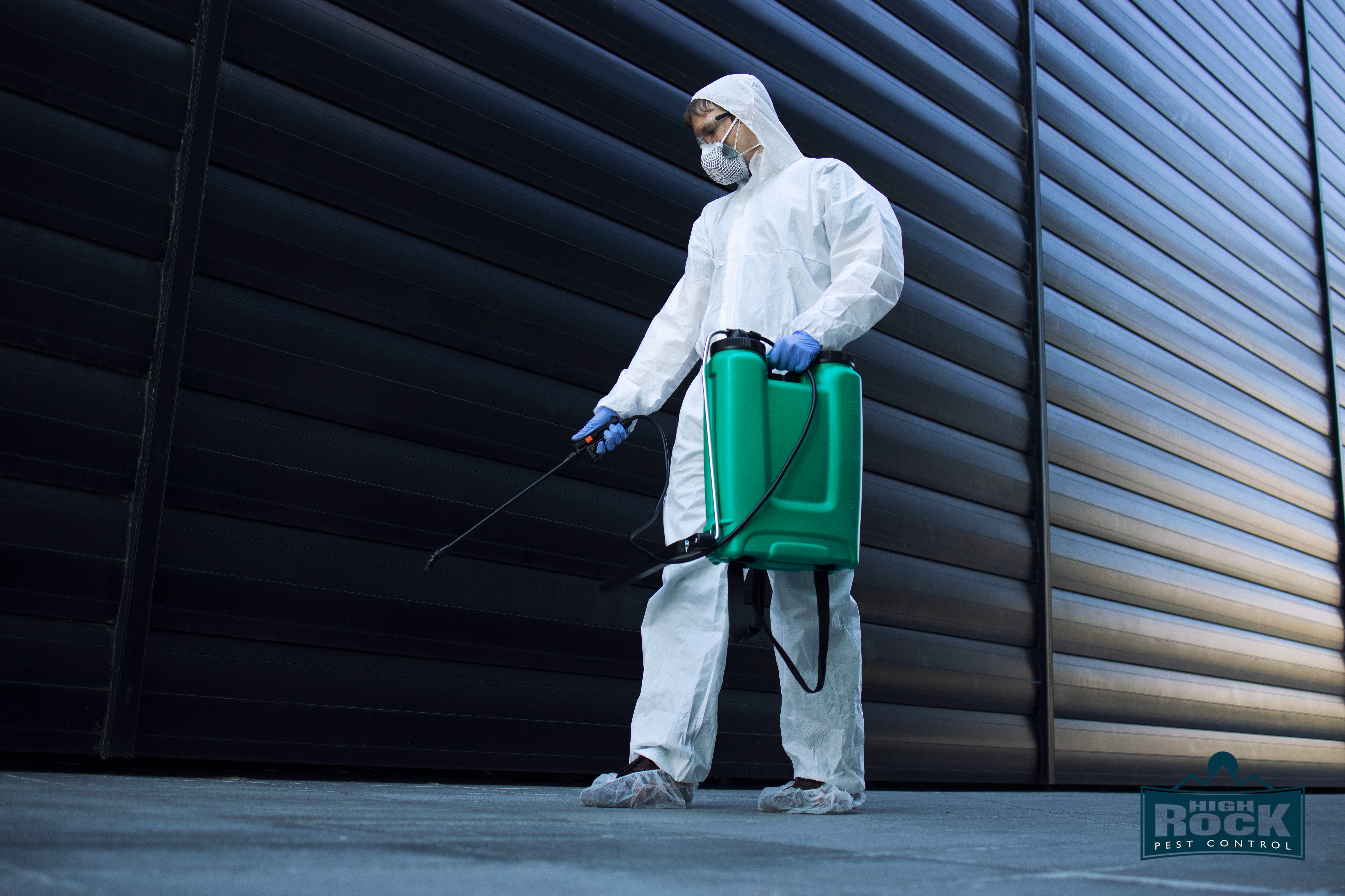 Common Pests Found in Cleveland Homes and How to Prevent Them